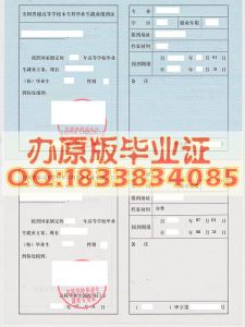 报到证样本