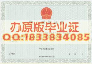 学位证样本